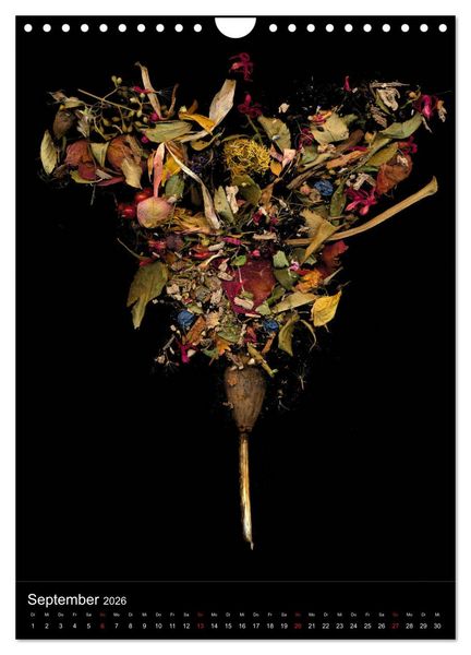 Produktbild: Blumen bei Nacht (Wandkalender 2026 DIN A4 hoch), CALVENDO Monatskalender