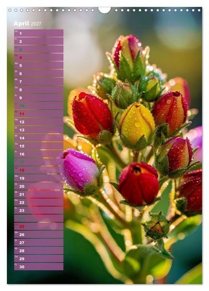 Produktbild: Bunte Augenblicke (Wandkalender 2027 DIN A3 hoch), CALVENDO Monatskalender