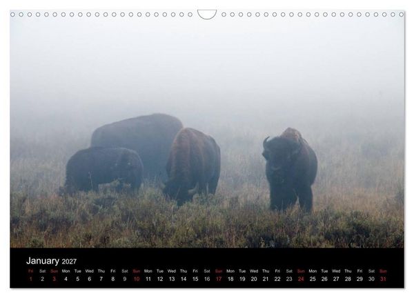 Produktbild: Beautiful Yellowstone and Grand Tetons National Parks (Wall Calendar 2027 DIN A3 landscape), CALVENDO 12 Month Wall Calendar