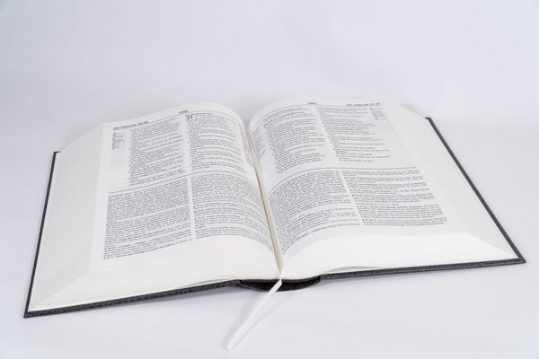 Produktbild: Genfer Studienbibel