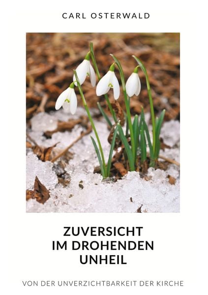 Produktbild: Zuversicht im drohenden Unheil