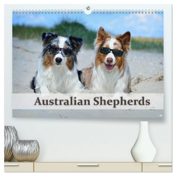 Produktbild: Wunderbare Australian Shepherds (hochwertiger Premium Wandkalender 2026 DIN A2 quer), Kunstdruck in Hochglanz
