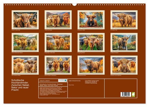 Produktbild: Schottische Hochlandrinder. Zwischen Nebel, Natur und rauer Pracht (Wandkalender 2026 DIN A2 quer), CALVENDO Monatskalender