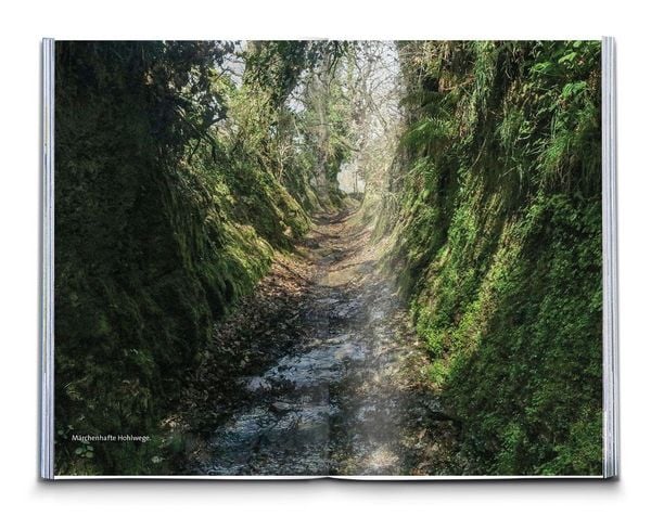 Produktbild: KOMPASS Wanderf&uuml;hrer Jakobsweg Spanien, Camino Franc&eacute;s. Von den Pyren&auml;en nach Santiago de Compostela und Fisterra, 46 Etappen mit Extra-Tourenkarte