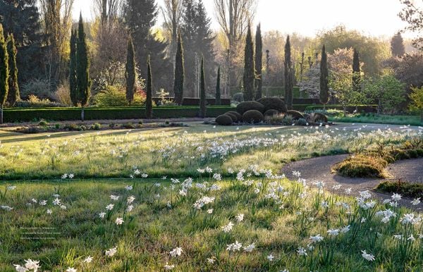 Produktbild: Peter Janke: Mein Garten im Wandel des Zeitgeistes und des Klimas