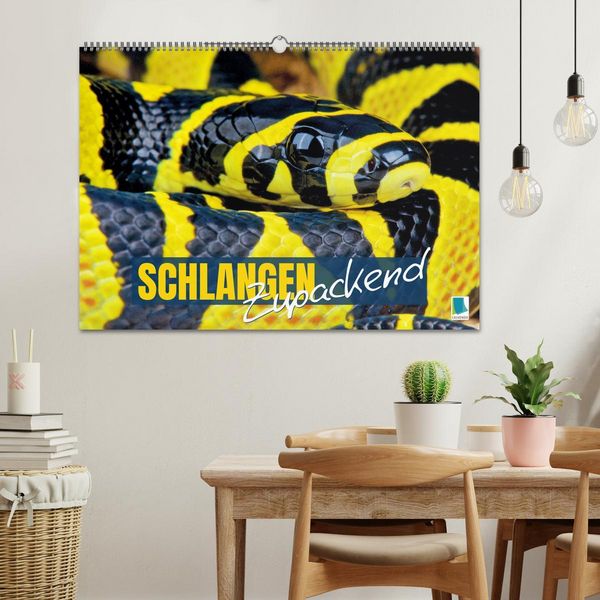Produktbild: Schlangen: Zupackend (Wandkalender 2026 DIN A2 quer), CALVENDO Monatskalender