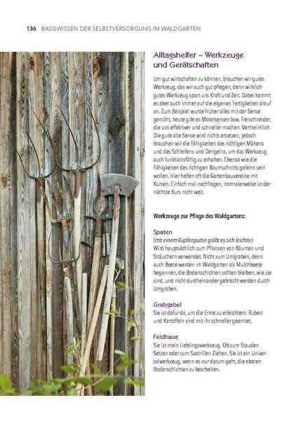Produktbild: Dein Weg zum essbaren Waldgarten