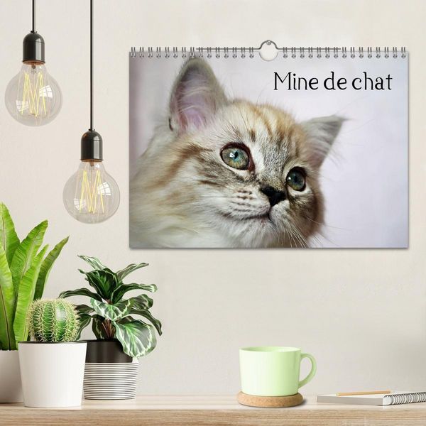 Produktbild: Mine de chat (Calendrier mural 2027 DIN A4 vertical), CALVENDO calendrier mensuel