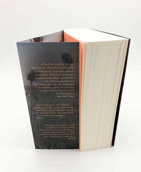 Produktbild: Das andere Kind