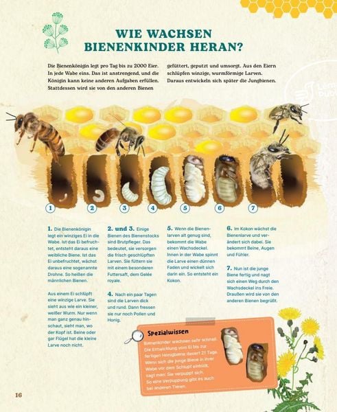 Produktbild: Bienen