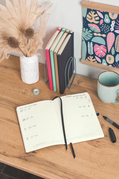 Produktbild: Buchkalender Kompagnon Mod. 791 66 2027, A5, Kunststoff, hellgr&uuml;n