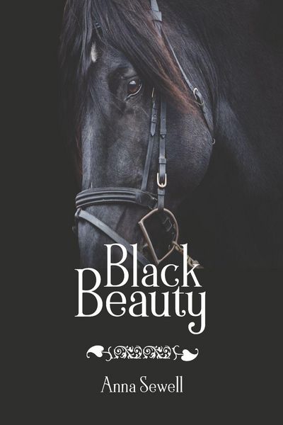 Produktbild: Black Beauty