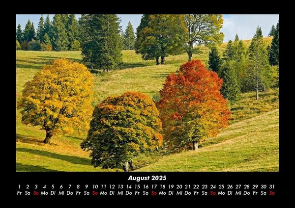 Produktbild: B&auml;ume 2025 Fotokalender DIN A3