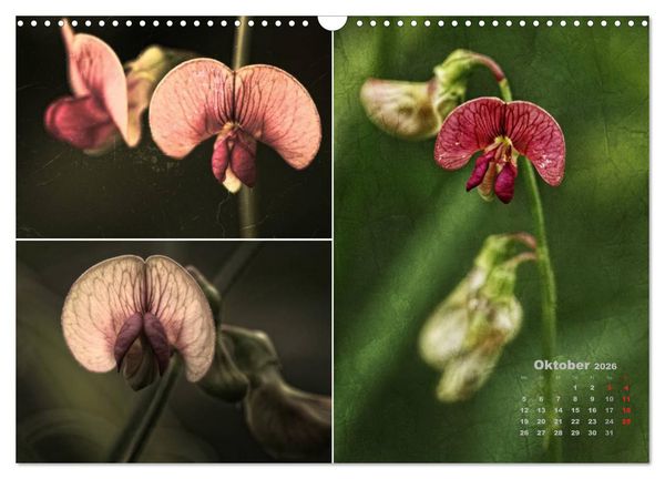Produktbild: Blumenreise 2026 (Wandkalender 2026 DIN A3 quer), CALVENDO Monatskalender