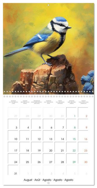 Produktbild: Ailes en sc&egrave;ne (Calendrier mural carr&eacute; 2026 30x30 cm) Calendrier double avec une page pour vos prises de notes