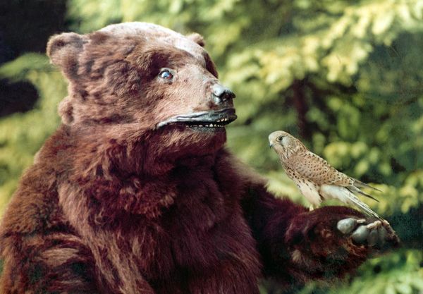 Produktbild: Schneewei&szlig;chen und Rosenrot (1979) (Filmjuwelen / DEFA-M&auml;rchen)
