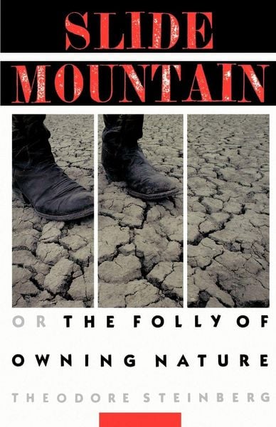 Produktbild: Slide Mountain