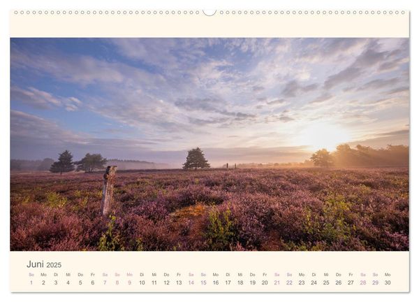 Mehlinger Heide (Wandkalender 2025 DIN A2 quer), CALVENDO Monatskalender