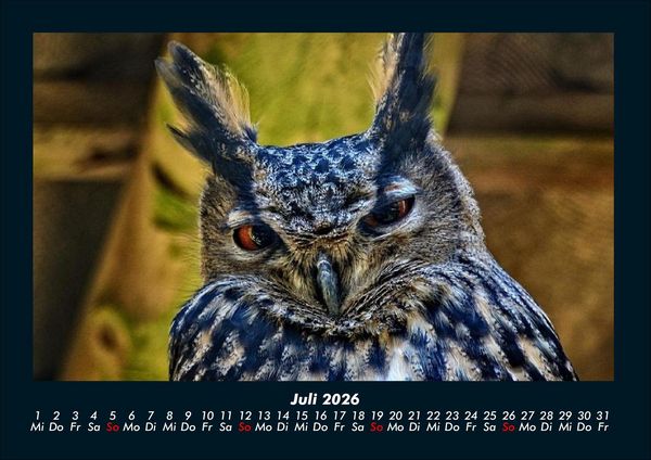 Produktbild: V&ouml;gel 2026 Fotokalender DIN A4