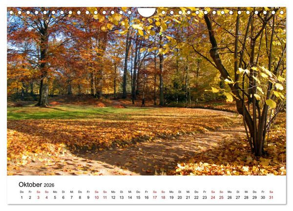 Produktbild: Waldheim (Wandkalender 2026 DIN A4 quer), CALVENDO Monatskalender