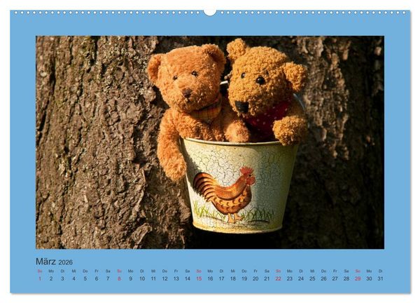 Produktbild: Teddys Meine Freunde (Wandkalender 2026 DIN A2 quer), CALVENDO Monatskalender