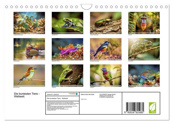 Produktbild: Die buntesten Tiere - Weltweit (Wandkalender 2027 DIN A4 quer), CALVENDO Monatskalender