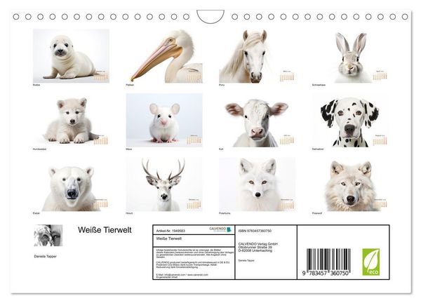 Produktbild: Wei&szlig;e Tierwelt (Wandkalender 2026 DIN A4 quer), CALVENDO Monatskalender