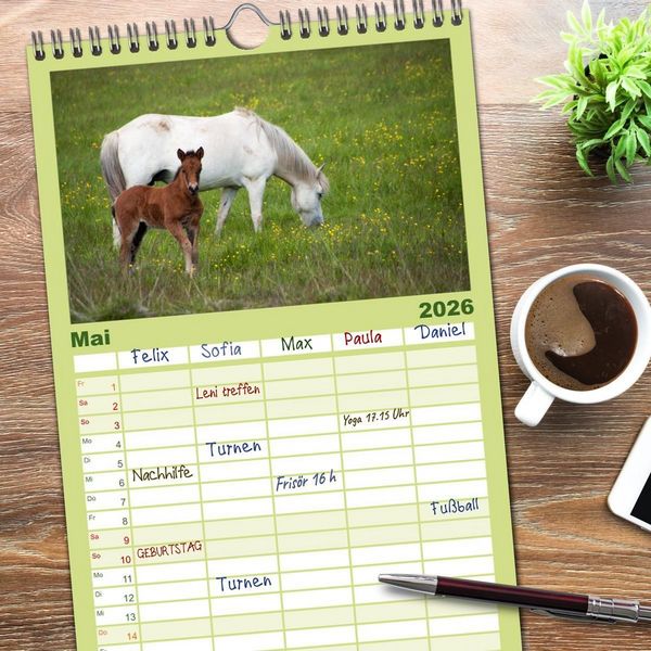 Produktbild: Familienplaner 2026 - Charakterk&ouml;pfe Islandpferde mit 5 Spalten (Wandkalender, 21 x 45 cm) CALVENDO