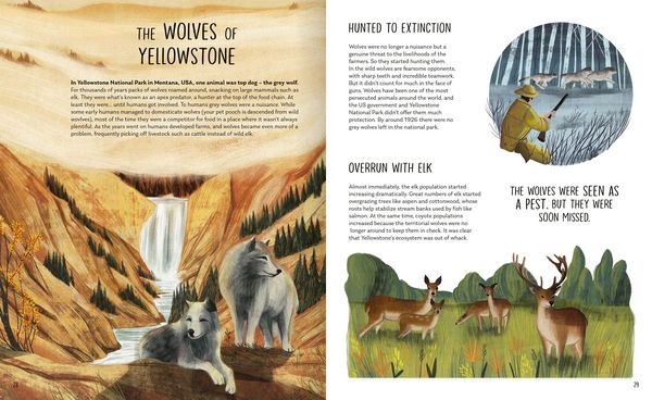 Produktbild: Rewilding
