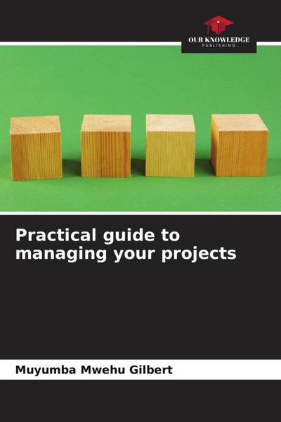 Produktbild: Practical guide to managing your projects