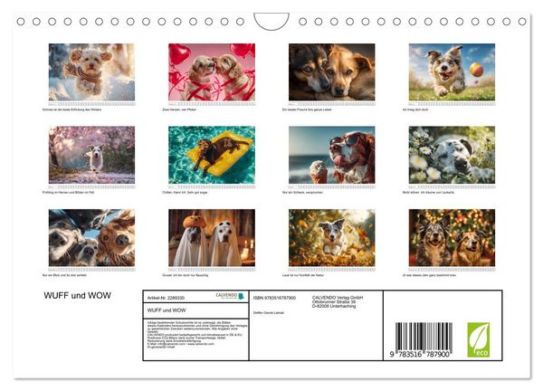 Produktbild: WUFF und WOW (Wandkalender 2027 DIN A4 quer), CALVENDO Monatskalender