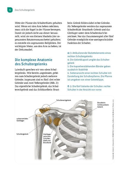 Produktbild: Experten-Sprechstunde Schulter