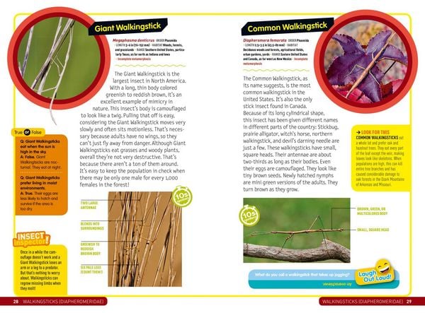 Produktbild: Ultimate Explorer Field Guide: Insects