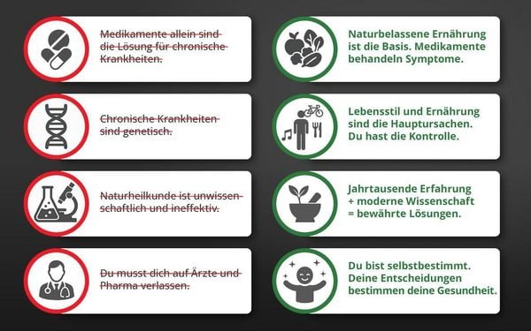 Produktbild: Die Krankheitslügen - Was man macht, um nicht krank zu werden.