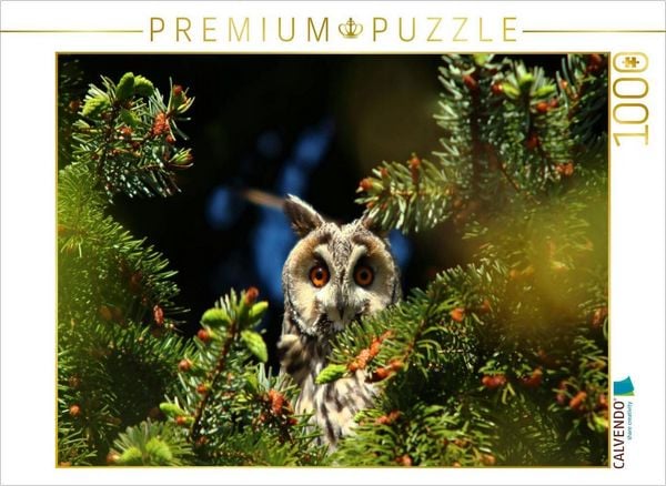 CALVENDO Puzzle Waldohreule | 1000 Teile Lege-Größe 64x48cm Foto-Puzzle für glückliche Stunden