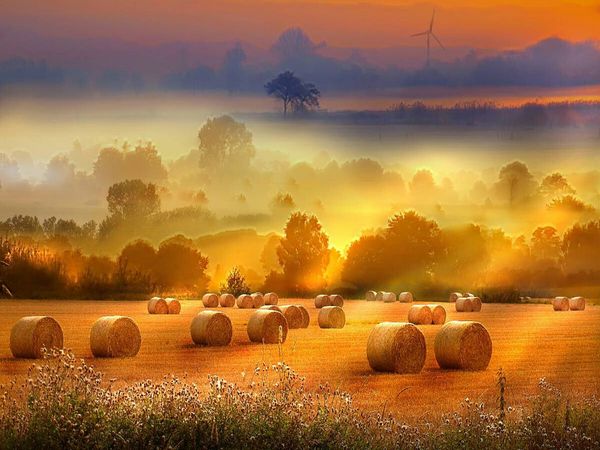 Produktbild: CALVENDO Puzzle Strohballen auf dem Feld | 1000 Teile Lege-Gr&ouml;&szlig;e 64x48cm Foto-Puzzle f&uuml;r gl&uuml;ckliche Stunden