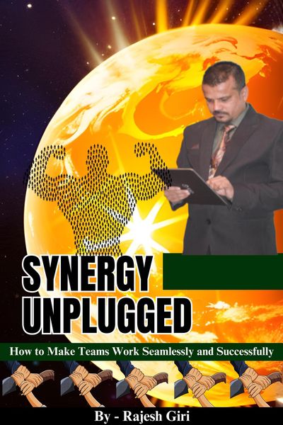 Produktbild: Synergy Unplugged: How to Make Teams Work Seamlessly and Successfully