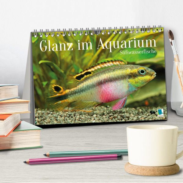 Produktbild: Glanz im Aquarium: S&uuml;&szlig;wasserfische (Tischkalender 2026 DIN A5 quer), CALVENDO Monatskalender