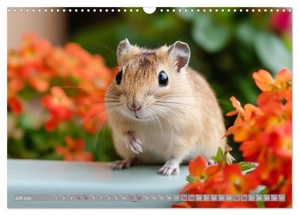 Produktbild: Maus im Haus - der Gerbil Kalender (Wandkalender 2026 DIN A3 quer), CALVENDO Monatskalender