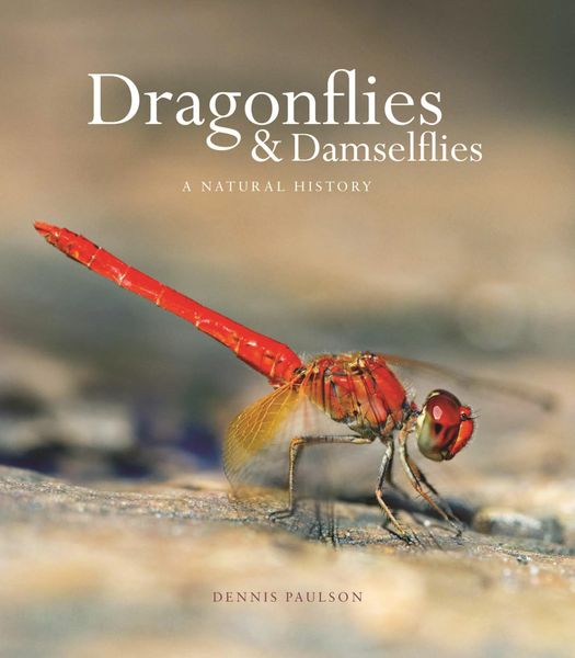 Produktbild: Dragonflies and Damselflies