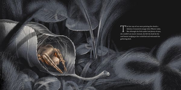 Produktbild: Weaver and the Web