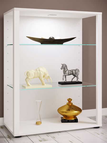Produktbild: Holz Glas Stand Vitrine Sammelvitrine Glasol L