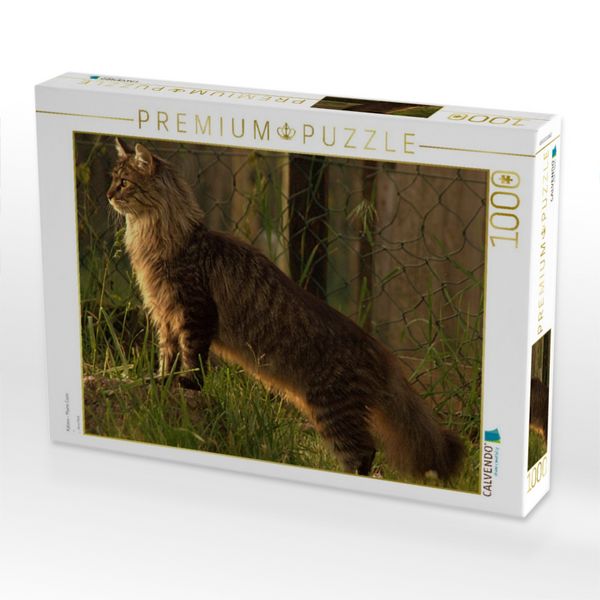 Produktbild: CALVENDO Puzzle Katzen - Maine Coon | 1000 Teile Lege-Gr&ouml;&szlig;e 64x48cm Foto-Puzzle f&uuml;r gl&uuml;ckliche Stunden