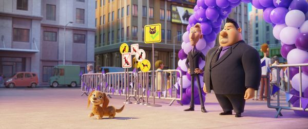 Produktbild: Paw Patrol: Der Kinofilm