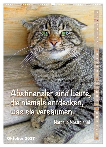 Produktbild: Der literarische Katerkalender (hochwertiger Premium Wandkalender 2027 DIN A2 hoch), Kunstdruck in Hochglanz