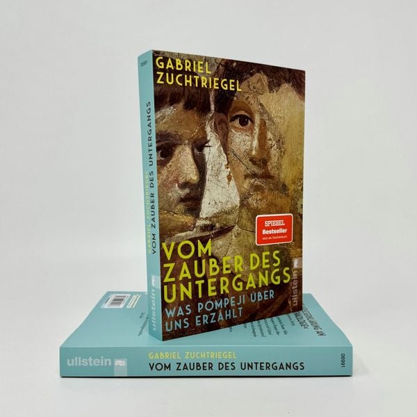 Produktbild: Vom Zauber des Untergangs