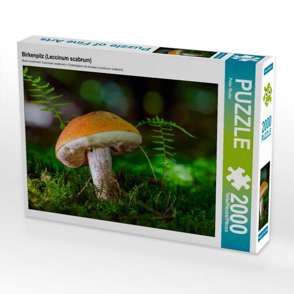 Produktbild: CALVENDO Puzzle Birkenpilz (Leccinum scabrum) 2000 Teile Lege-Gr&ouml;&szlig;e 900 x 670 cm Foto-Puzzle Bild von Peter Roder