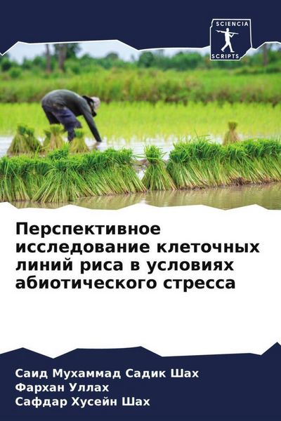 Produktbild: Perspektiwnoe issledowanie kletochnyh linij risa w uslowiqh abioticheskogo stressa