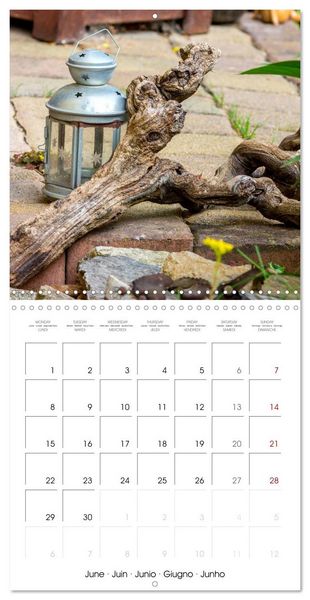 Produktbild: Harriette`s sweet garden (Wall Calendar 2026 12 &times; 12 Inch) CALVENDO 12 Month Wall Calendar