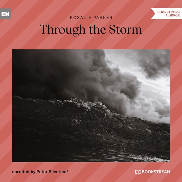 Produktbild: Through the Storm